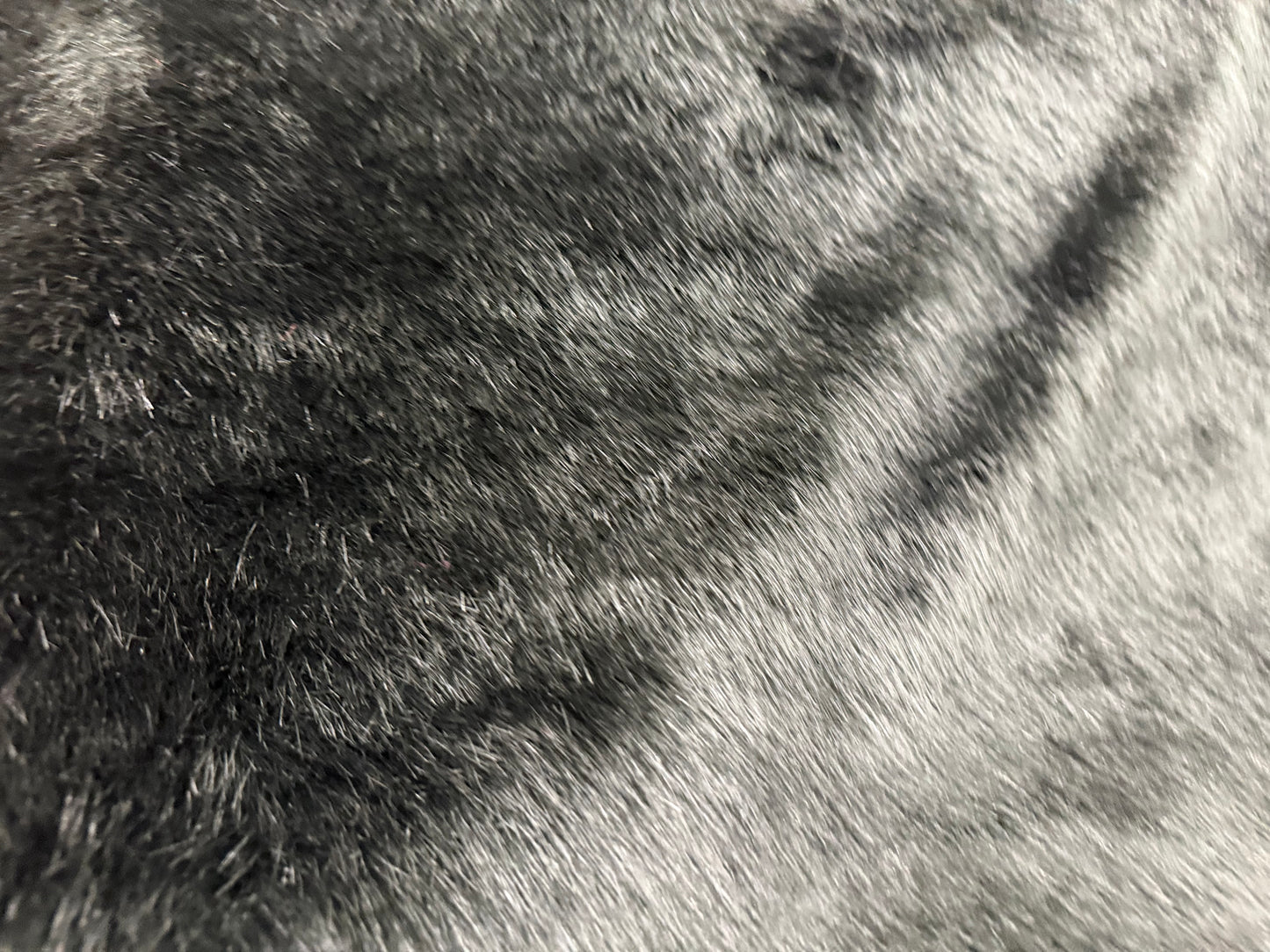 PELO FINO NEGRO