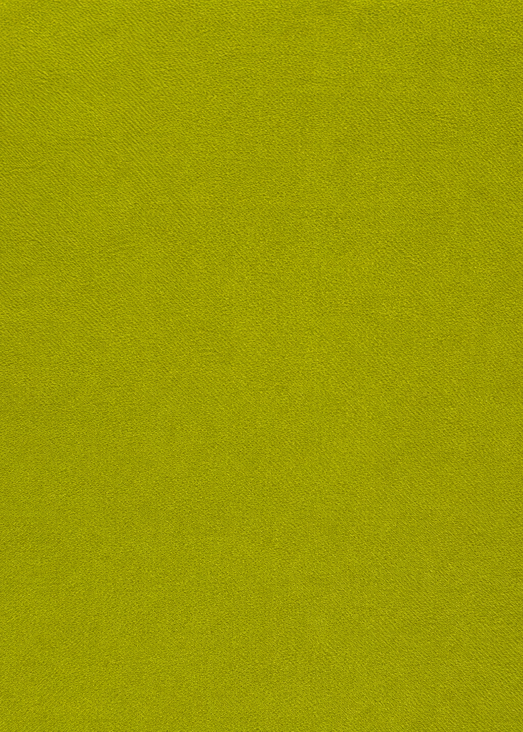 imagen del color verde musgo
