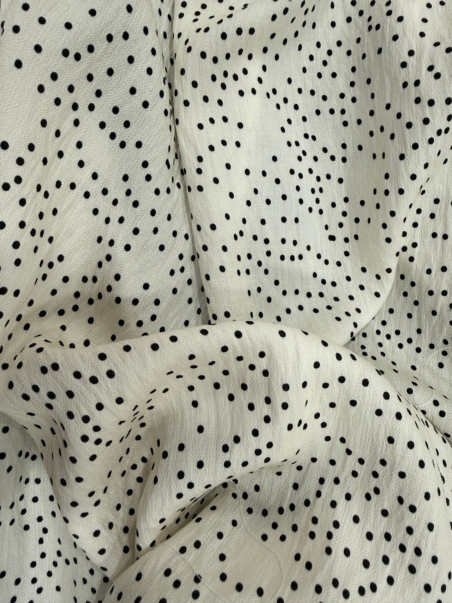 DALMATA