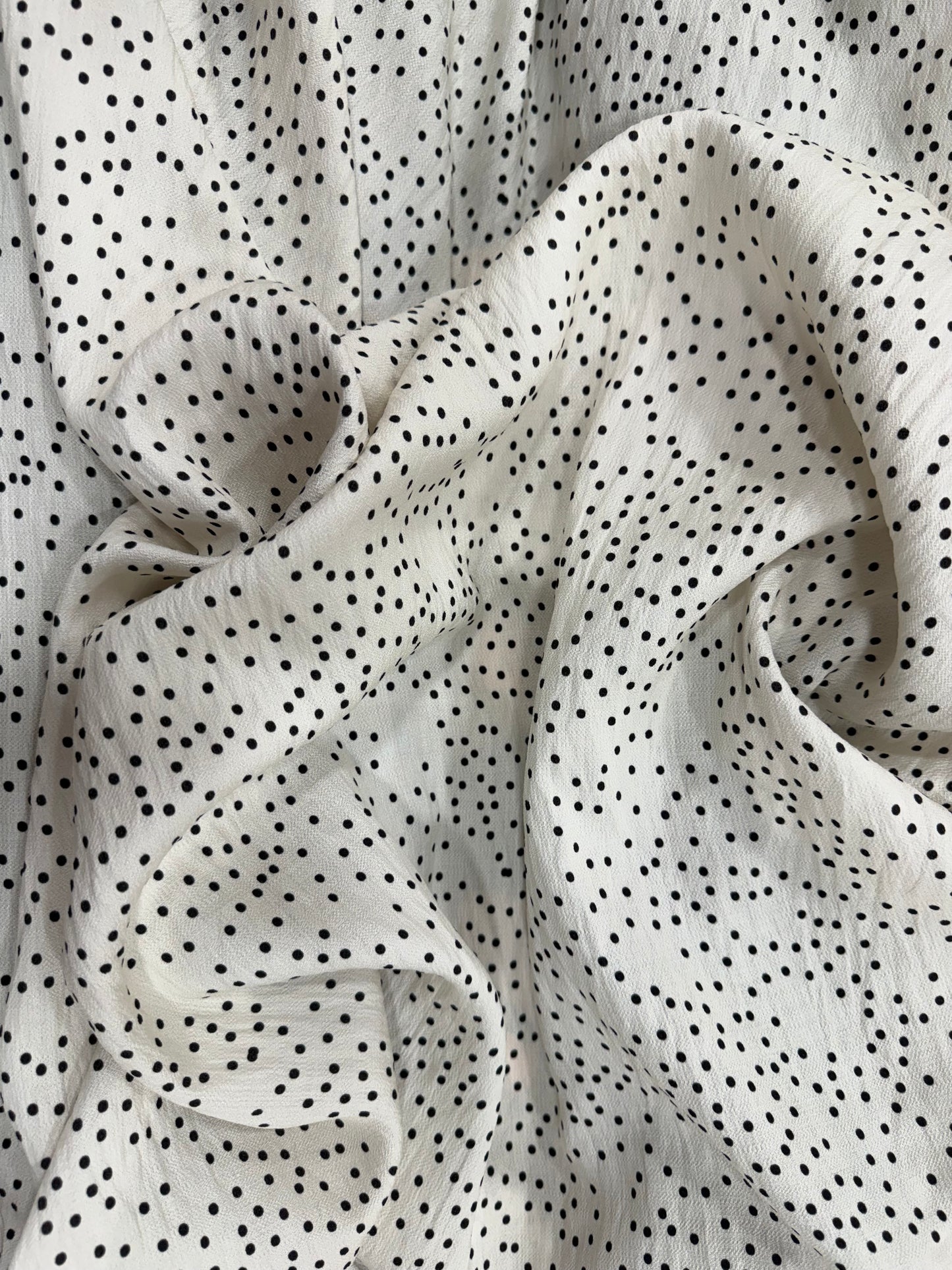 DALMATA