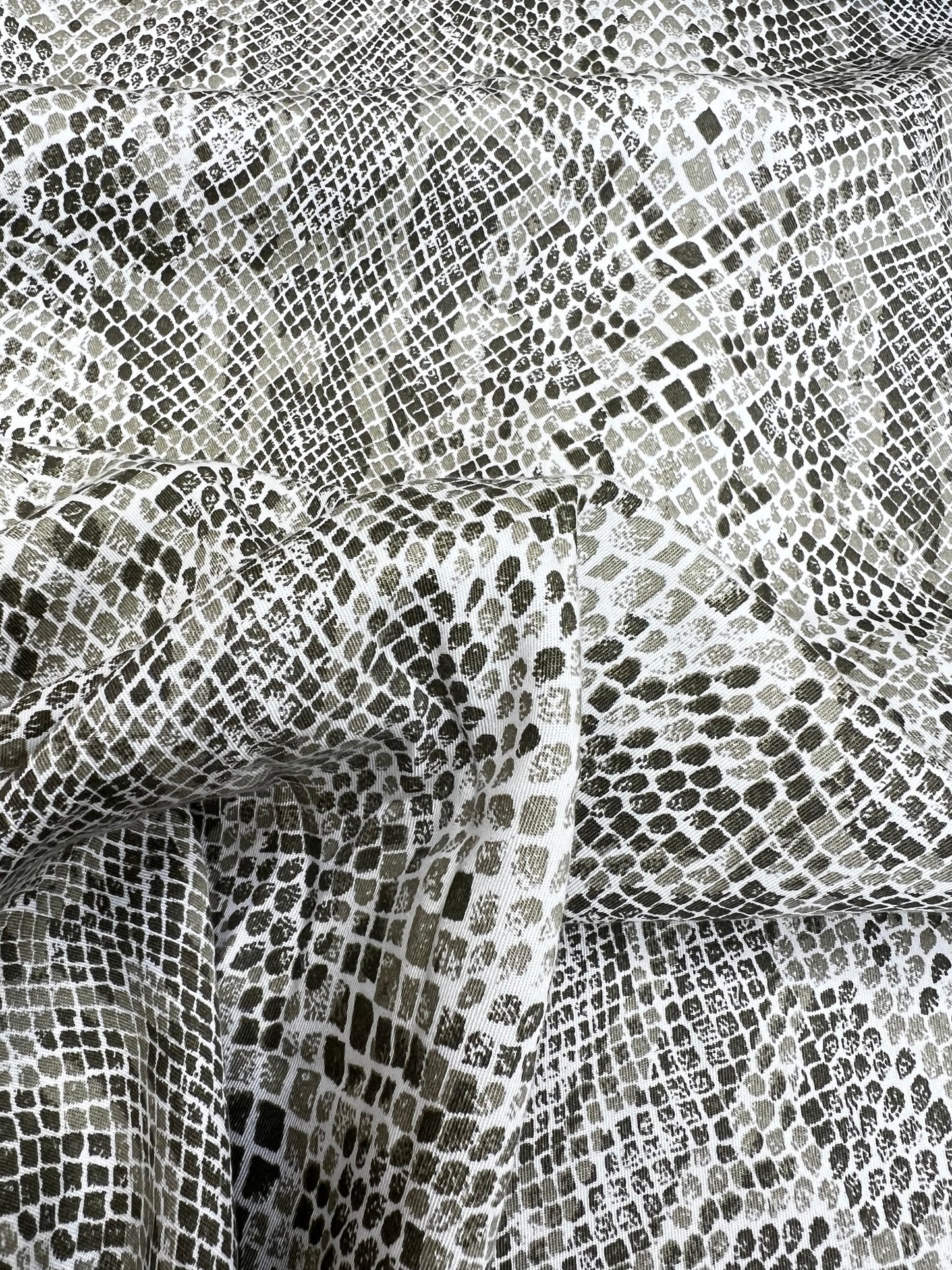 SERPIENTE
