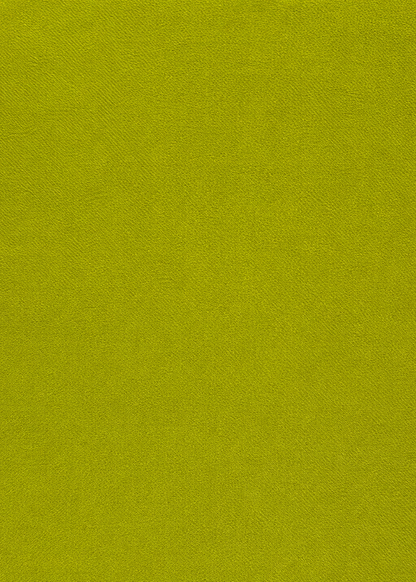 imagen del color verde musgo