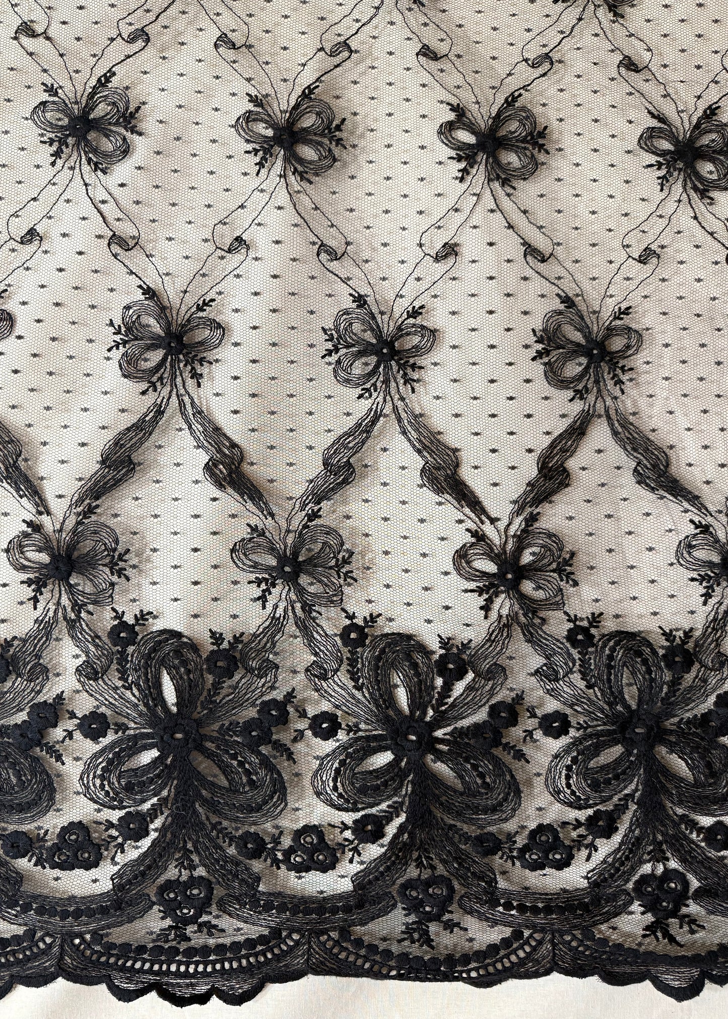 Encaje negro con plumeti y punta bordada decorativa