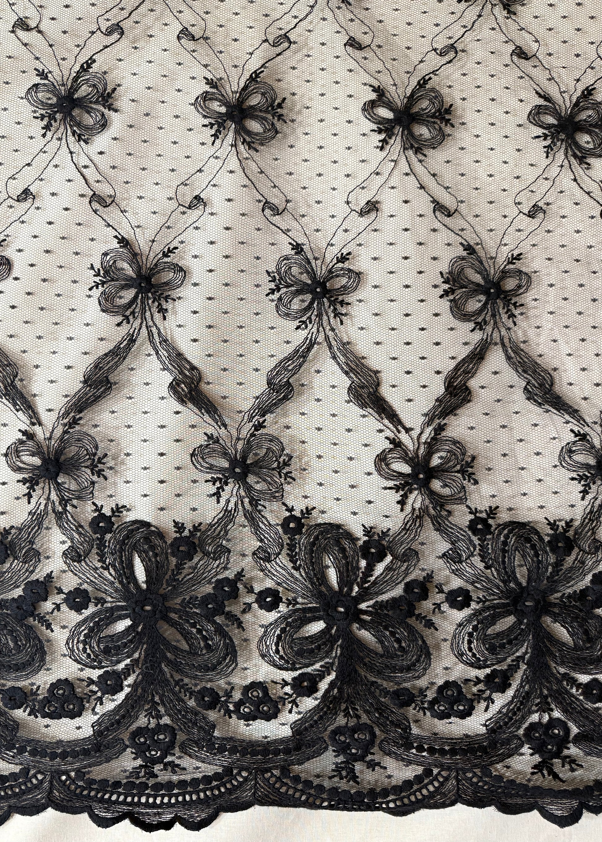 Encaje negro con plumeti y punta bordada decorativa